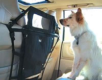 Doggie Backseat Barrier