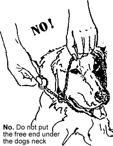 training collar no