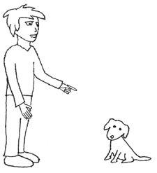 Dog Commands