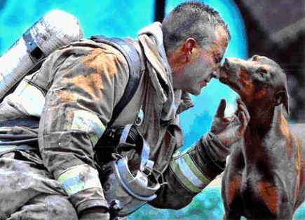 Dog Kissing Firefighter Dog Kissing Firefighter