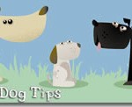 freedogtips Free Dog Tips