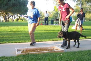 Puppy Obstacle Puppy Obstacle