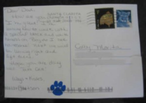 Stetsons First Postcard Stetsons First Postcard