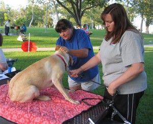 Vet Check Vet Check