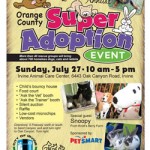 adoption_flyer