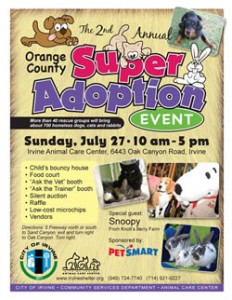 Adoption Flyer