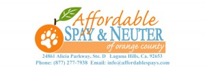Affordable Spay and Neuter