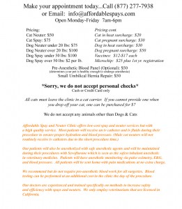 Affordable Spay and Neutering