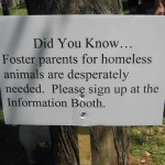 Foster Parents