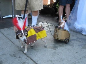 Chariot Dog