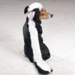 Skunk Dog Costume