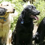 Stetson and his siblings