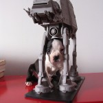 Puppy Nerd Puppy Nerd