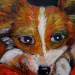 Pet Portrait