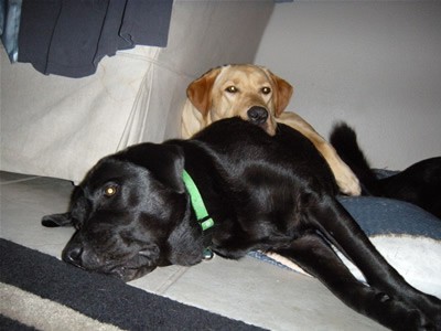 Stetson and Derby