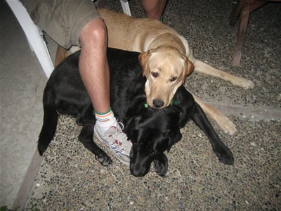 Derby and Stetson at BBQ