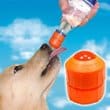 pet-top-sm
