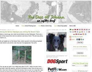 The Days of Johann An Agility Dog The Days of Johann An Agility Dog