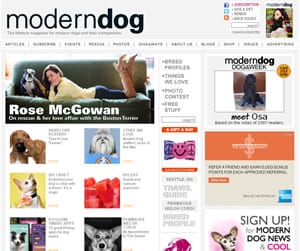 Modern Dog Modern Dog