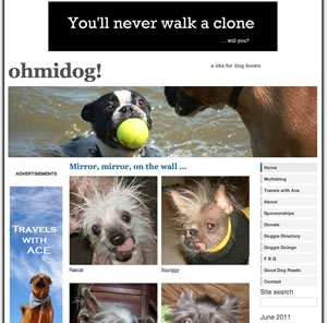 OhMiDog OhMiDog