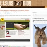 ottawadogblog ottawadogblog