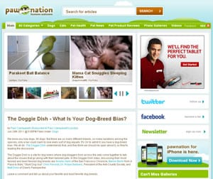 Paw Nation Paw Nation