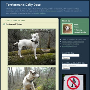 Terrierman's Daily Dose Terrierman's Daily Dose