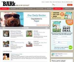 The Bark The Bark