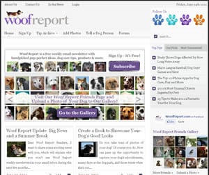 Woof Report Woof Report