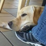 Dublin at Panda Express