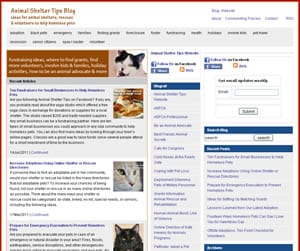 Animal Shelter Tips Animal Shelter Tips