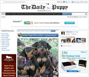 The Daily Puppy The Daily Puppy