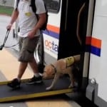 OCTA Service Animal Training OCTA Service Animal Training