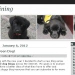 First Blog Theme