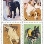 Dog Postage Stamps
