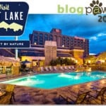 Blog Paws Conference