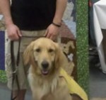Guide Dogs of America Quilt