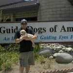 Dog Training Schools