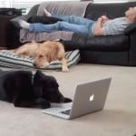 Linus Working