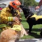 Apache and the fire fighter