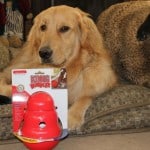 KONG Wobbler Review KONG Wobbler Review