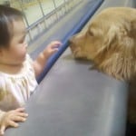 Apache and Baby Mackey! Apache and Baby Mackey!