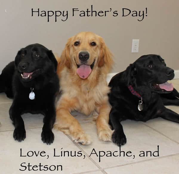 A Father's Day Card From The Dogs?