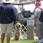 Puppy Trials