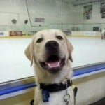 Journey at the hockey game