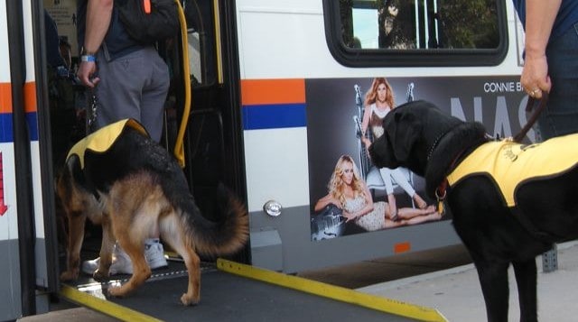 Puppy Raisers Gather At OCTA Service Animal Training Guide dogs in training boarding the bus