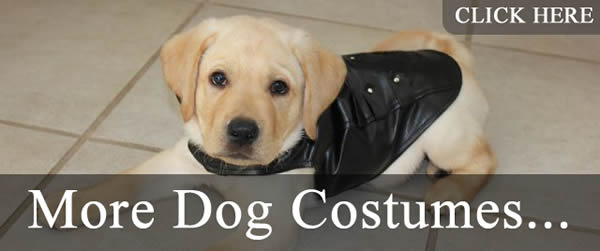 More cute dog costumes More cute dog costumes