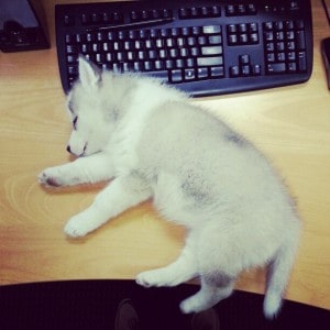 We all need a little break from work once in a while!