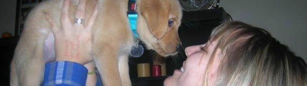 guide-dog-story4