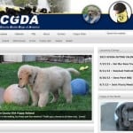 OCGDA Website